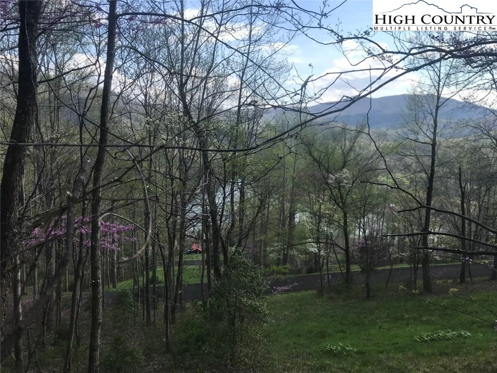 Image number 1 for the current listing