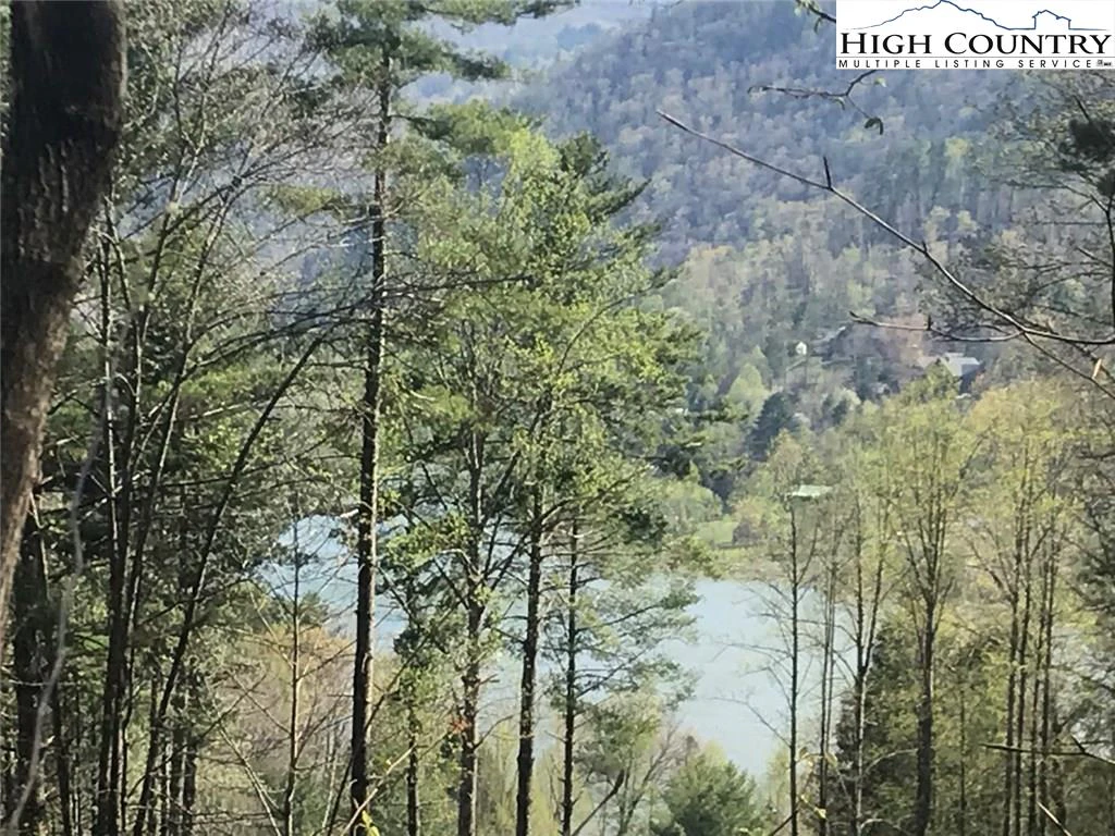 Image number 3 for the current listing
