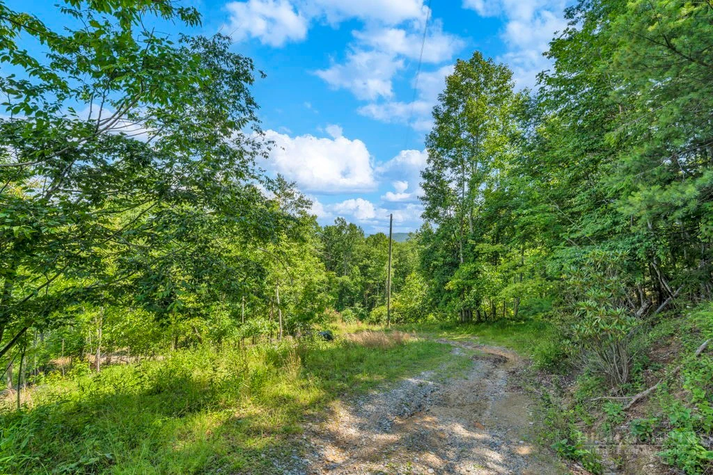 Image number 3 for the current listing
