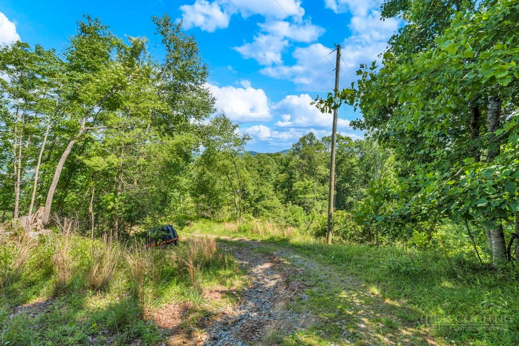 Image number 5 for the current listing