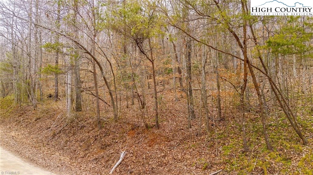 Image number 2 for the current listing