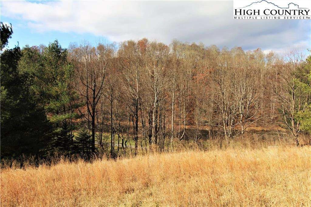 Image number 4 for the current listing