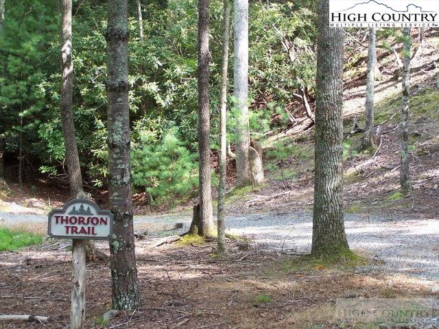 Image number 5 for the current listing