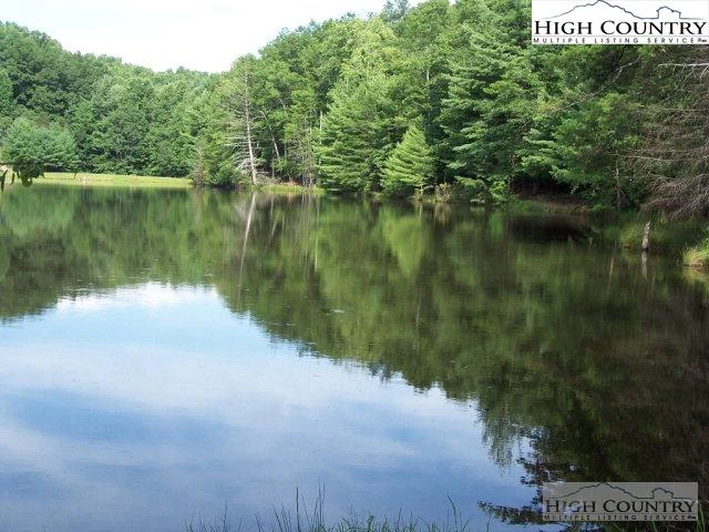 Image number 7 for the current listing