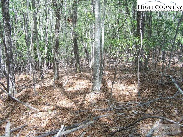 Image number 14 for the current listing