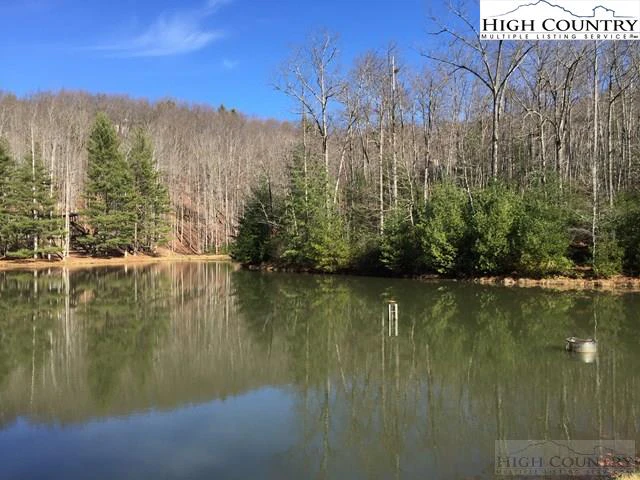 Image number 1 for the current listing