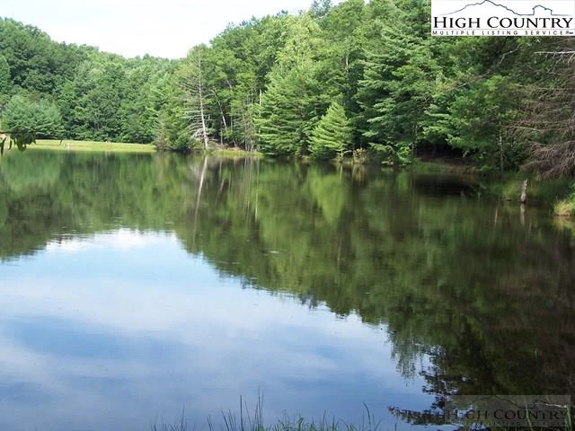 Image number 3 for the current listing