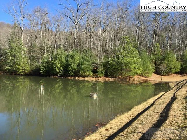 Image number 4 for the current listing