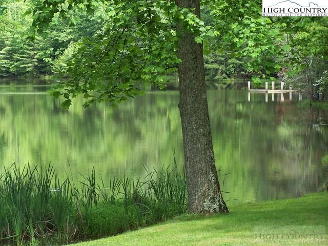 Image number 6 for the current listing