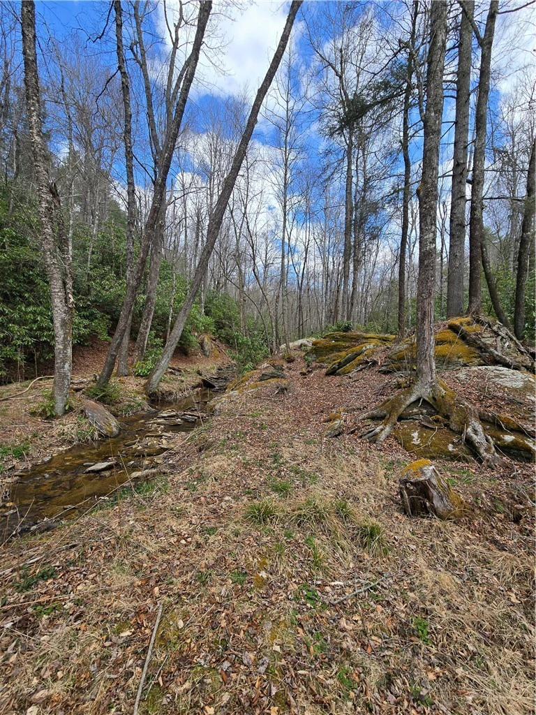 Image number 7 for the current listing