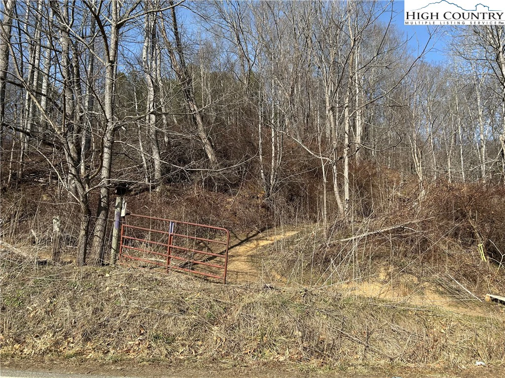 Image number 4 for the current listing
