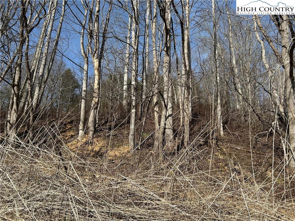 Image number 5 for the current listing