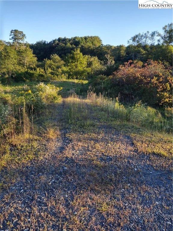 Image number 1 for the current listing