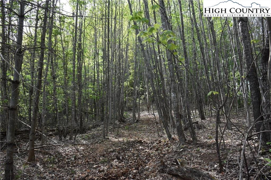 Image number 7 for the current listing