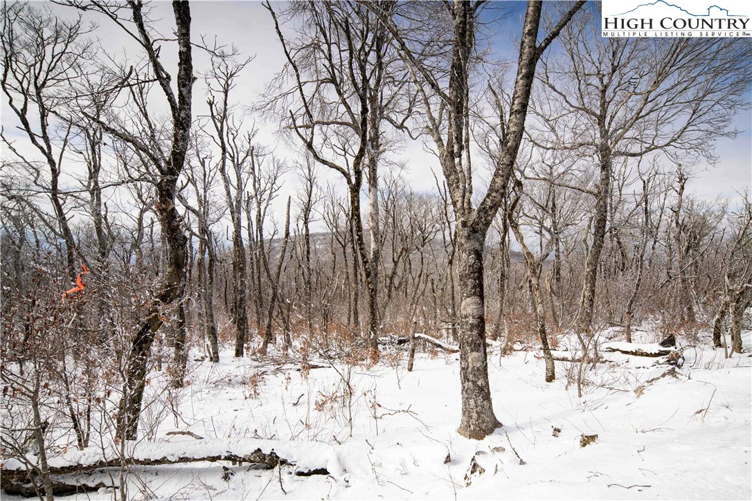 Image number 3 for the current listing