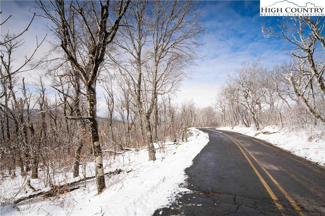Image number 5 for the current listing
