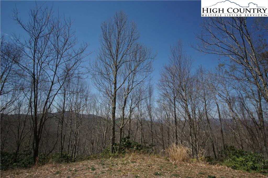 Image number 1 for the current listing