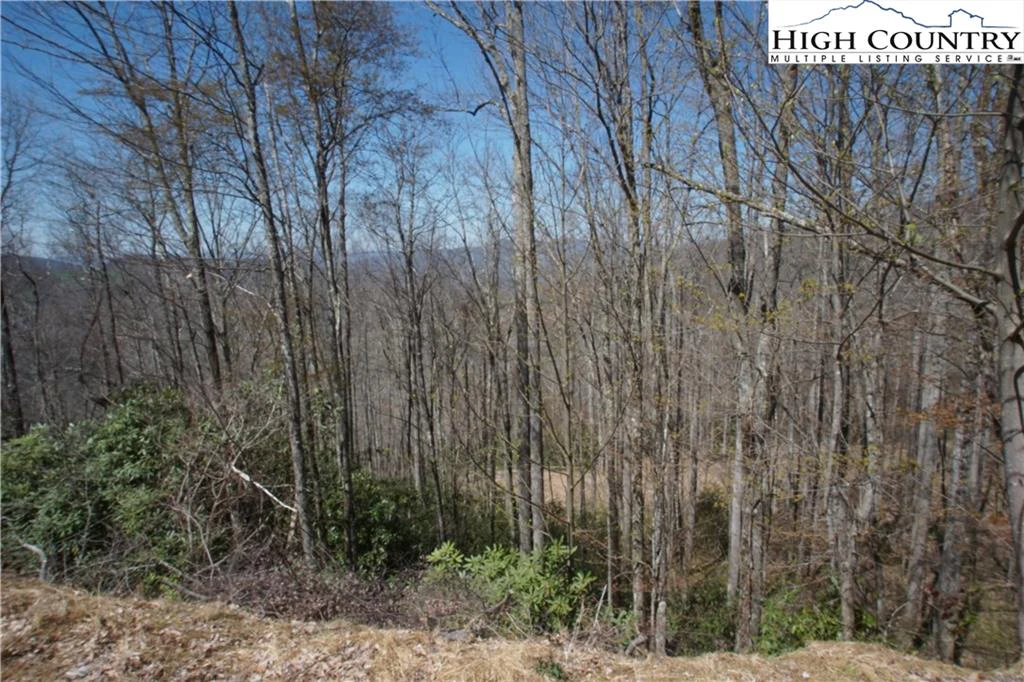 Image number 11 for the current listing