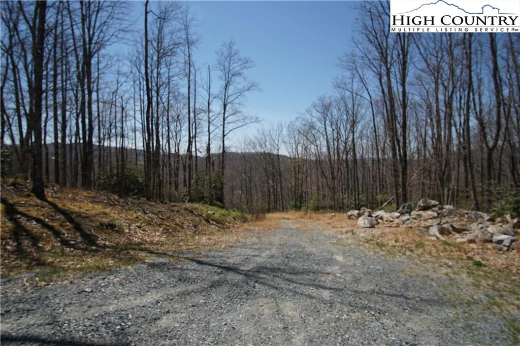 Image number 4 for the current listing