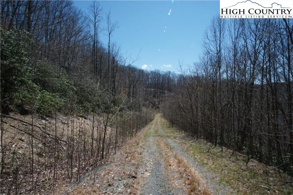 Image number 5 for the current listing