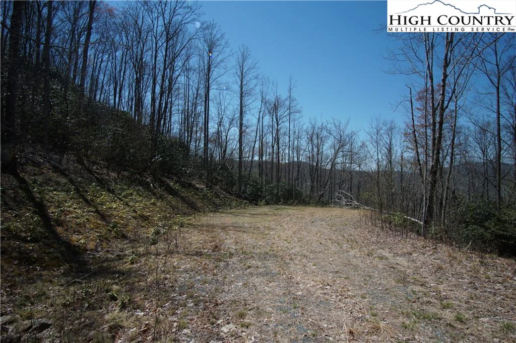 Image number 6 for the current listing