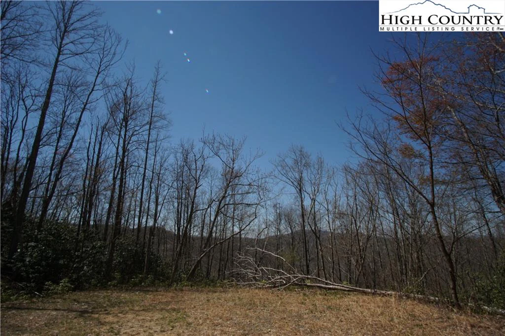 Image number 7 for the current listing