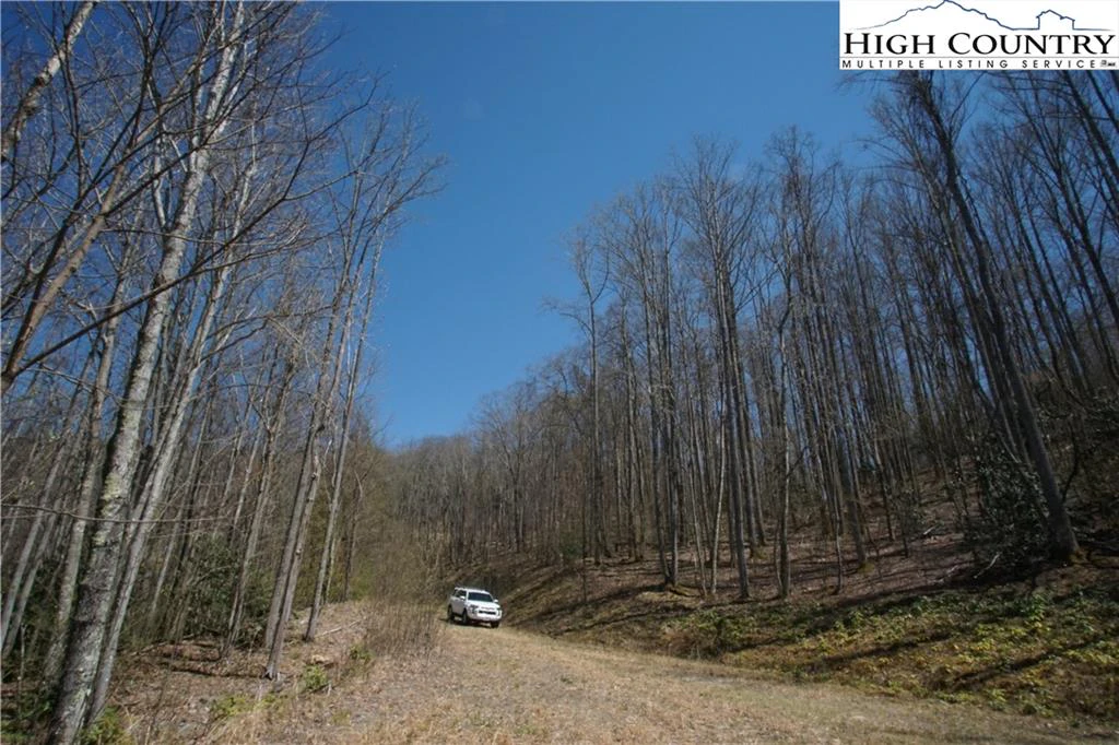 Image number 8 for the current listing