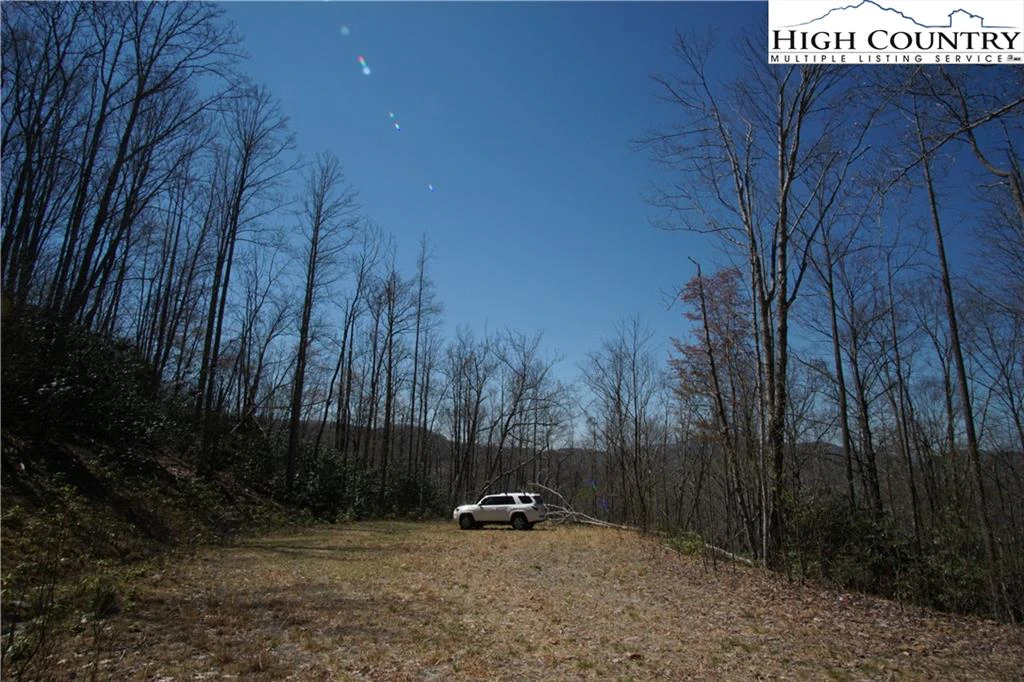 Image number 9 for the current listing