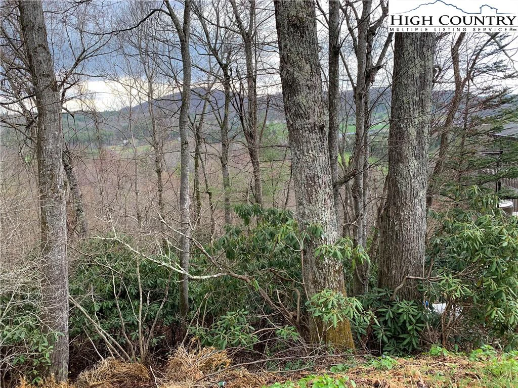 Image number 3 for the current listing