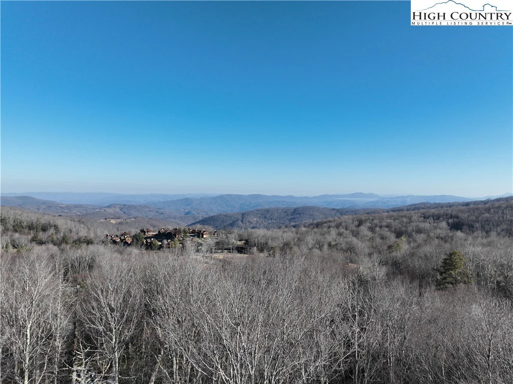Image number 1 for the current listing