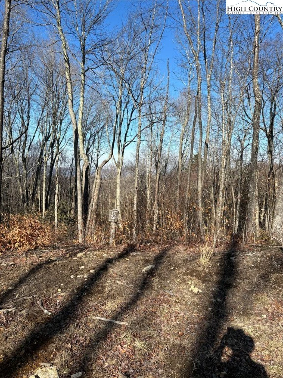 Image number 9 for the current listing