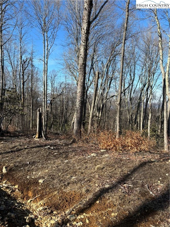 Image number 2 for the current listing