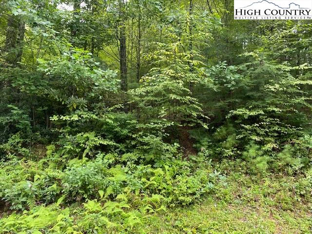 Image number 1 for the current listing