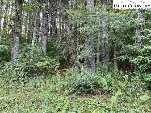 Image number 3 for the current listing