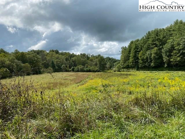 Image number 1 for the current listing