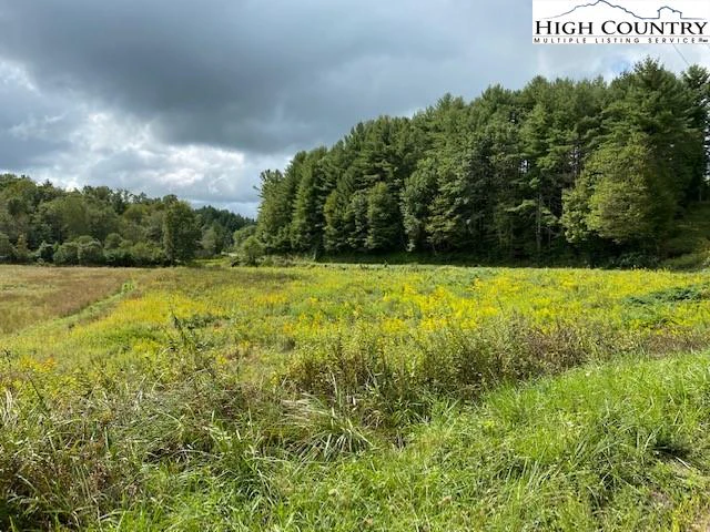Image number 4 for the current listing