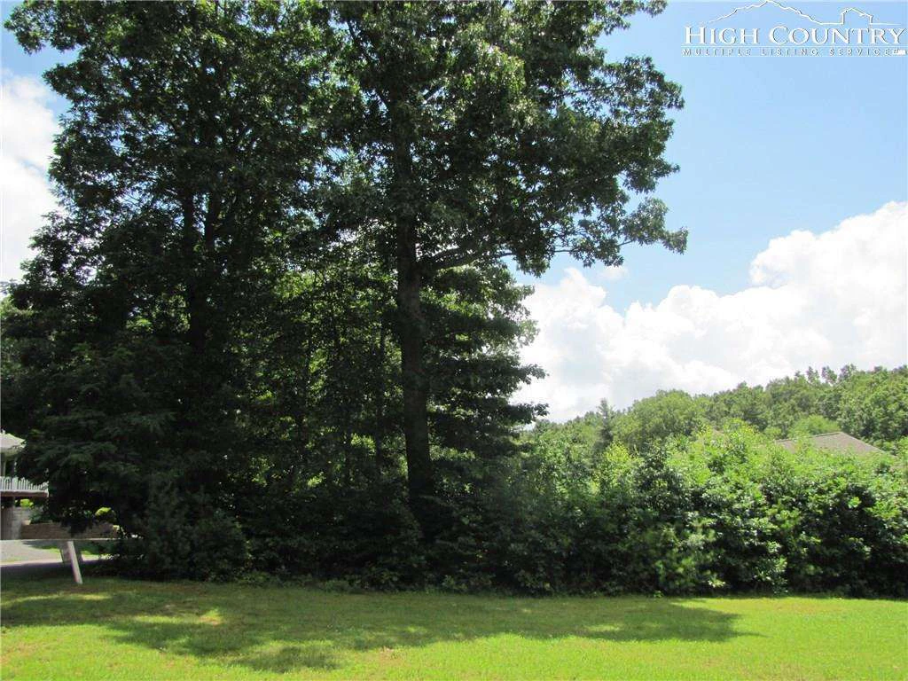 Image number 5 for the current listing