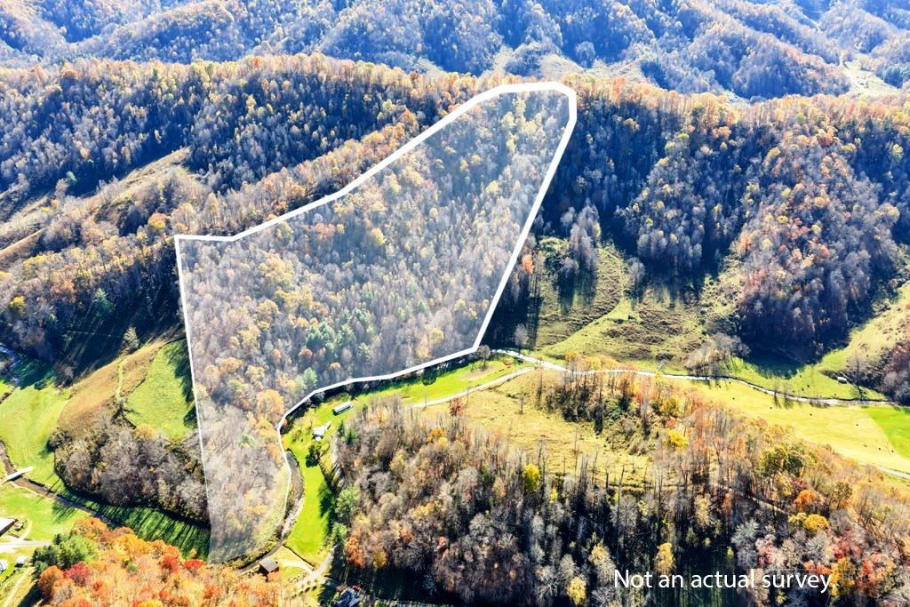 Image number 3 for the current listing