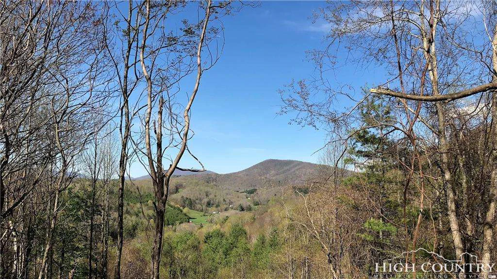 Image number 1 for the current listing