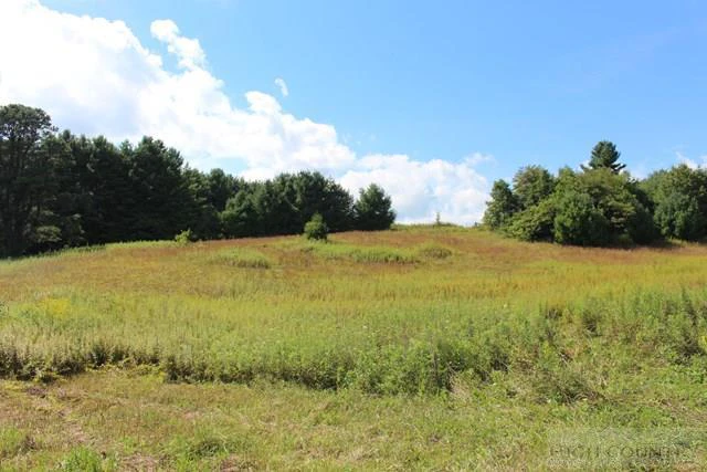Image number 3 for the current listing