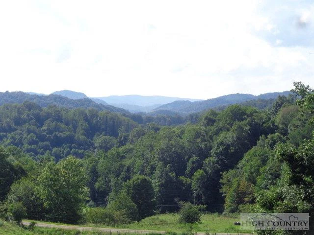 Image number 1 for the current listing