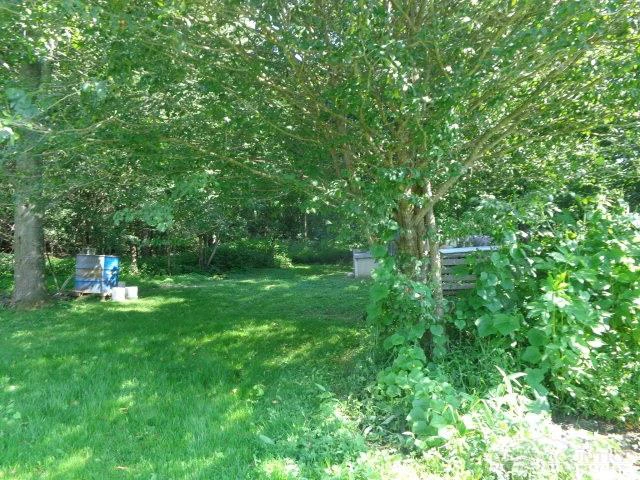 Image number 11 for the current listing