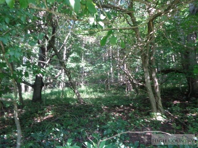 Image number 3 for the current listing