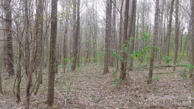 Image number 6 for the current listing