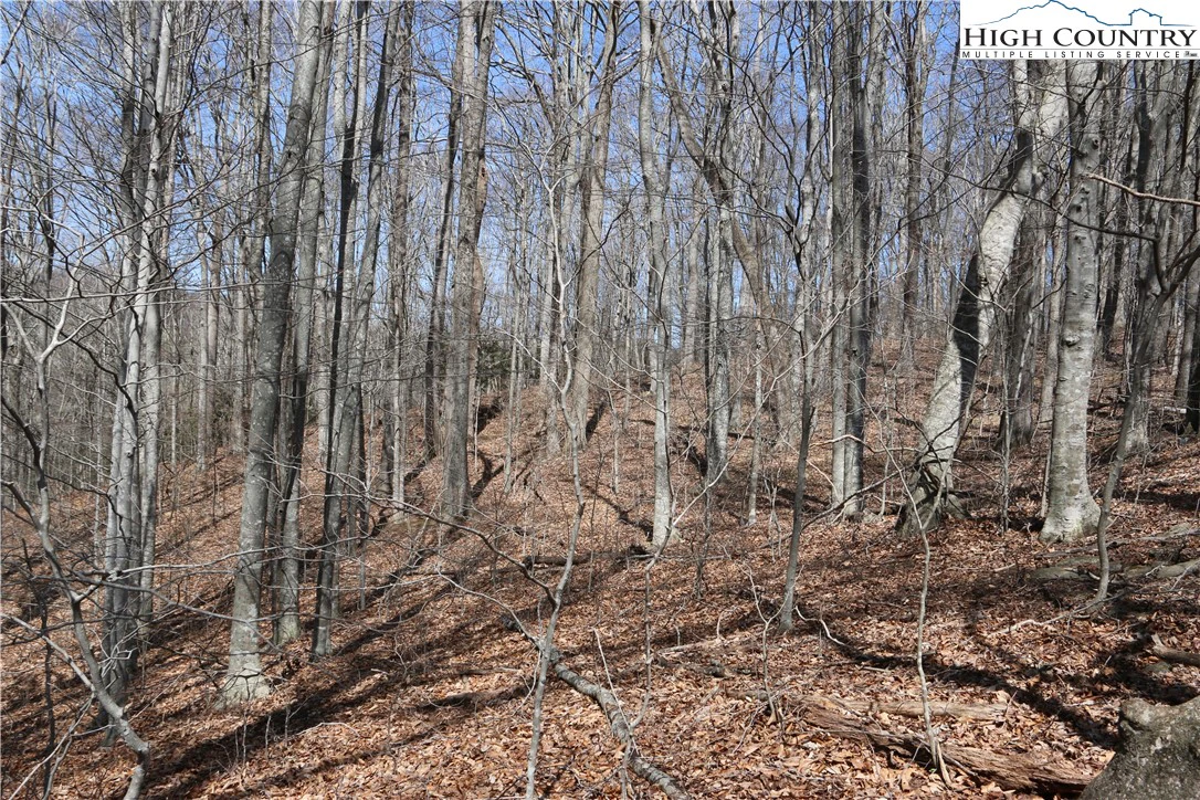 Image number 16 for the current listing