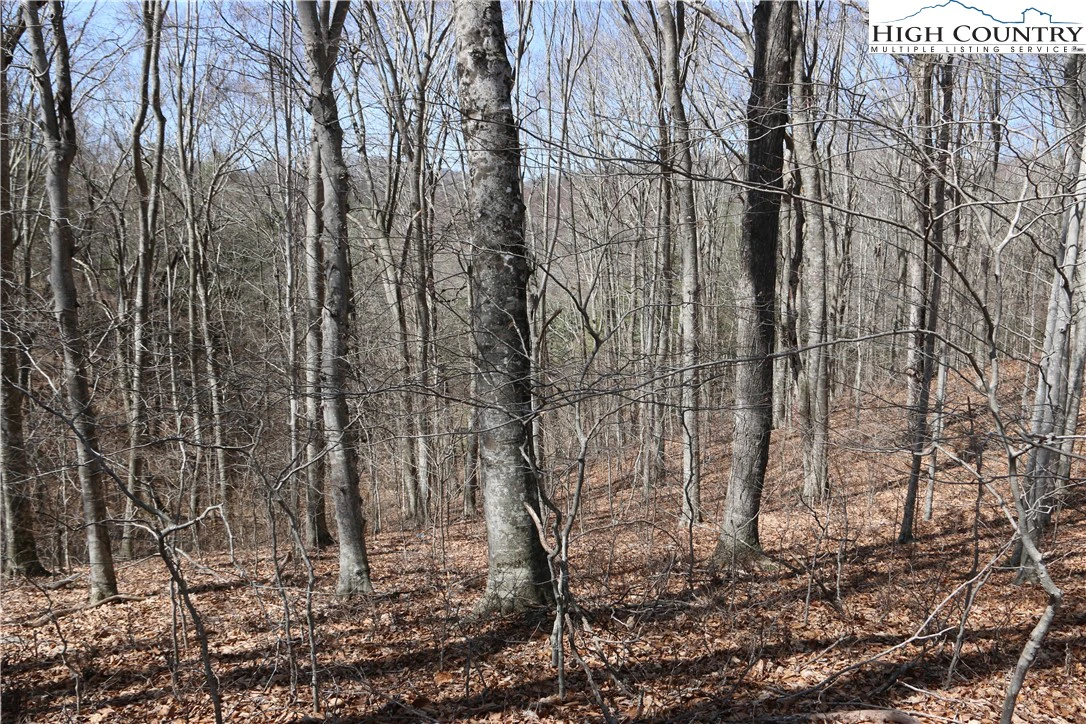 Image number 15 for the current listing