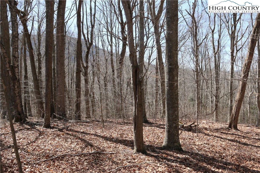 Image number 14 for the current listing