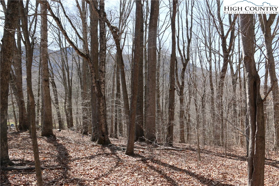 Image number 13 for the current listing