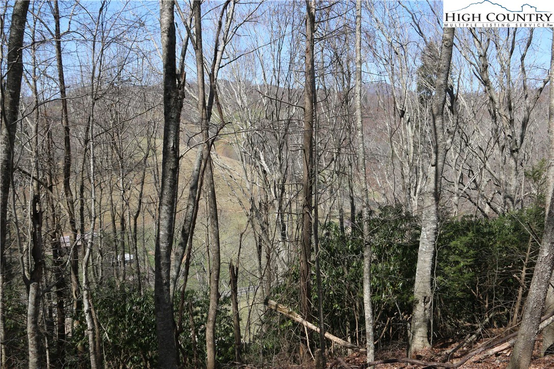 Image number 2 for the current listing