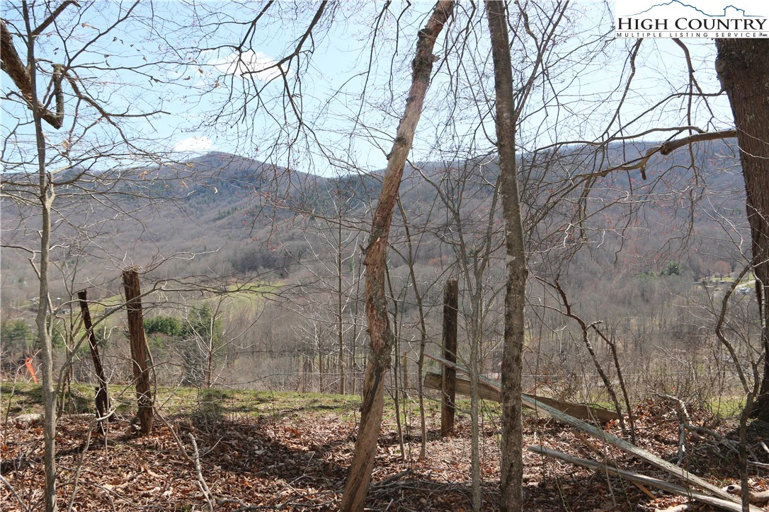Image number 12 for the current listing